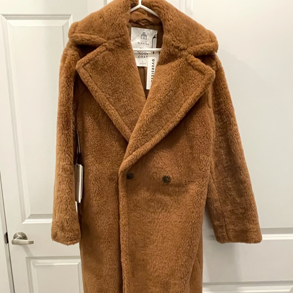 Aritzia Teddy Coat